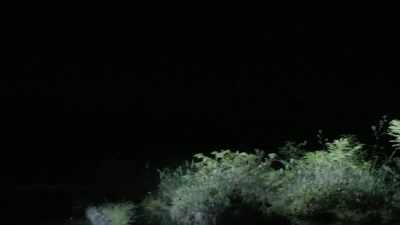 Whatever it was, it felt
like I was communicating with
something there for a second. - Expedition Bigfoot