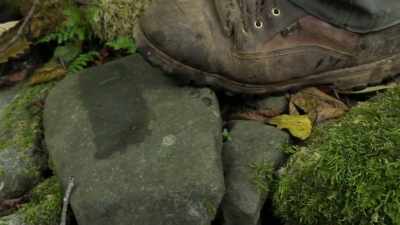 Whatever it was,
it was in the water
right here, - Expedition Bigfoot