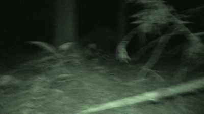 Whatever that was,
it's a whole lot bigger
than I am. - Expedition Bigfoot
