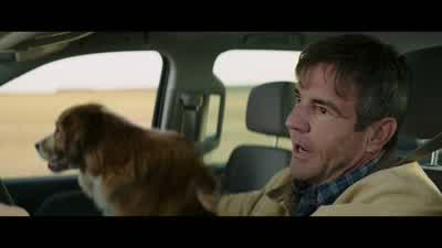 What's a donkey - A Dog's Purpose