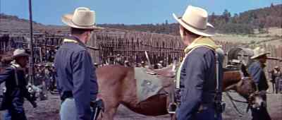 What's this all about? - Sitting Bull