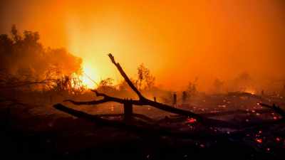 WHAT'S AT STAKE IS NOT
ONLY THE LIVELIHOOD - Before the Flood
