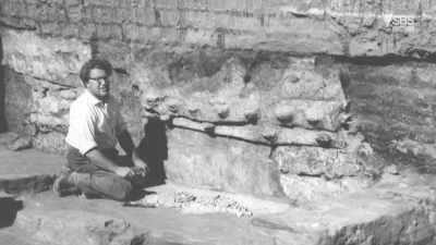 What's certain is he built his life
around being an archaeologist. - Raiders of the Lost Past with Janina Ramirez