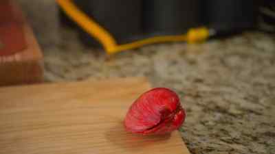 - What's cracking, clam assassins?
- The antifreeze didn't work - Santa Clarita Diet