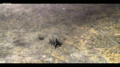 What's different is that
it's happening simultaneously - Extinction: The Facts