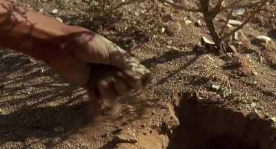- What's he doing?
- Getting water. - A Far Off Place