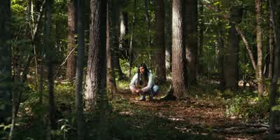 Looks like he's gathering mushrooms. - Stranger Things