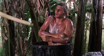 What's that for? - No Man Is an Island