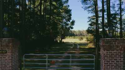 What's goin' on out there? - Murdaugh Murders: A Southern Scandal