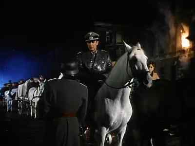 What's going on here? 
- I'm Colonel Podhajsky - Miracle of the White Stallions