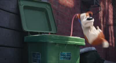 What's going on here - The Secret Life of Pets