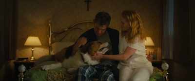-What's going on?
-Hey, buddy. Hi, Bailey. - A Dog's Journey