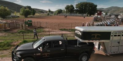 What's going on? - Yellowstone