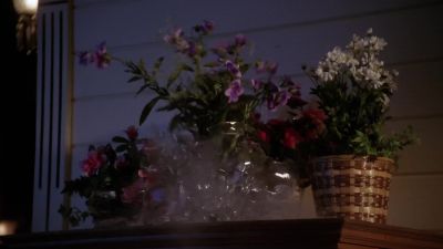 What's going on? - Charmed