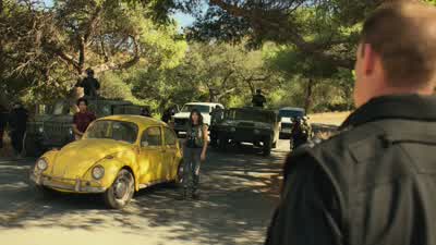 What's going on? - Bumblebee