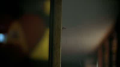 What's going on? - City of God