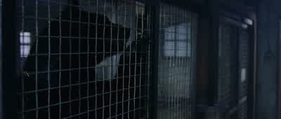 What's gotten into them? - The Day After Tomorrow