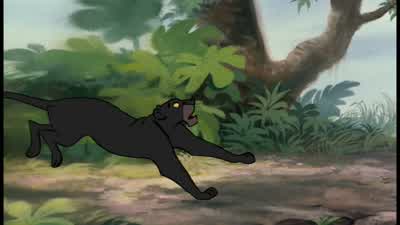 Bagheera! - The Jungle Book