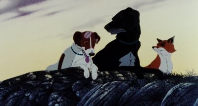 What's happened to you What do you mean - The Plague Dogs
