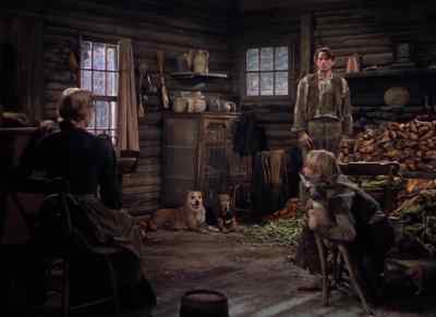 What's happenin' now? - The Yearling