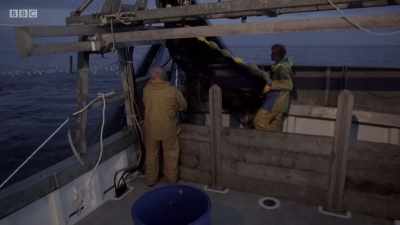 What's happening back there? - Cornwall: This Fishing Life