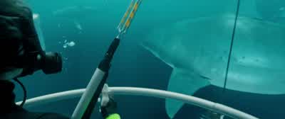 What's happening down there? - The Meg