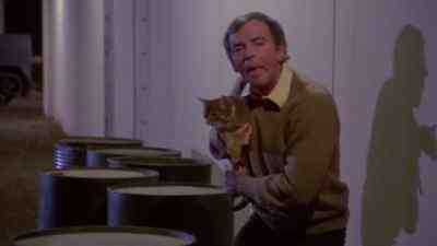 What's happening? - The Cat from Outer Space