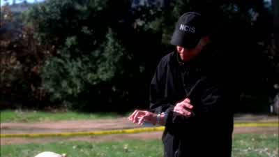 What's his story? - NCIS