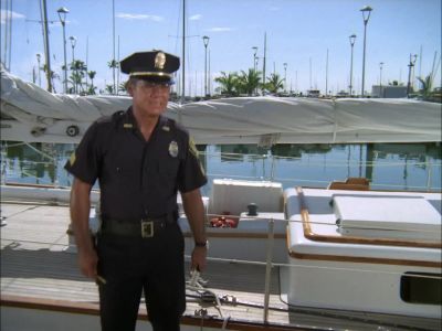 WHAT'S IT LOOK LIKE, DUKE? - Hawaii Five-O