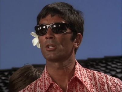 WHAT'S IT MEAN,
AKAMAI? - Hawaii Five-0