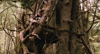 What's Janice's weak spot, you think? - Bridge to Terabithia
