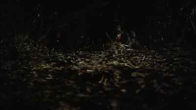 What's it look like? - Go Tell the Spartans
