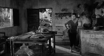 What's this mess supposed to be - The Night of the Iguana