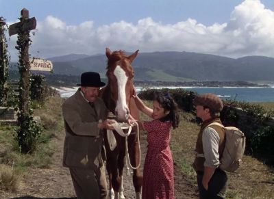 What's his name Mr Ede Name - National Velvet