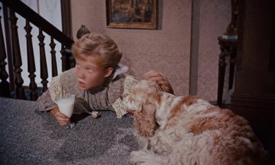 What's his name - Pollyanna