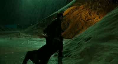 What's your name? - The Shape of Water