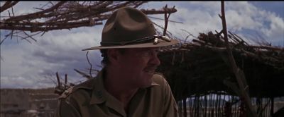 What's our next move - The Wild Bunch