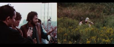 What's really important - Woodstock