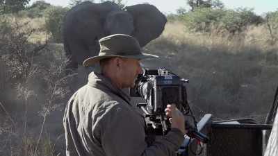 What's really interesting is that
she's using the car as protection. - In the Footsteps of Elephant