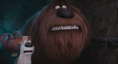 - What's... - The Secret Life of Pets