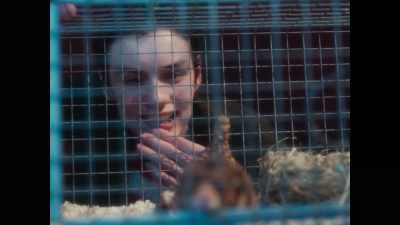 - What's his second name?
- Hamsters don't have surnames. - Pistol