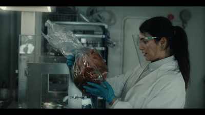 - What's so special about this lovely lady?
- She could control other zeros. - Resident Evil