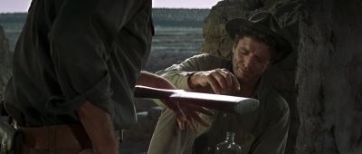 What's that supposed to mean - The Professionals