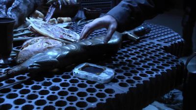 What's she talking about?
How many are left? - Stargate Atlantis
