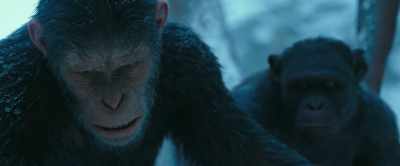What's that? A patrol? - War for the Planet of the Apes