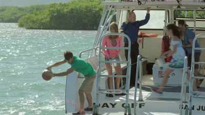 What's that? It's a
speargun with a sonar tag. - 5 Headed Shark Attack