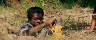 - What's that?
- Rabbit Taser, for catching rabbits. - Problemos