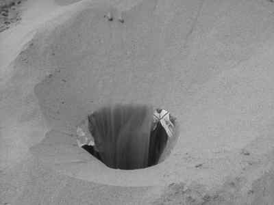 What's that? - Woman in the Dunes