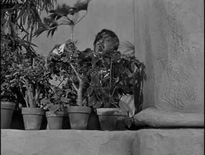 What's that? - The Mark of Zorro