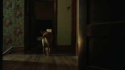 What's that? - Girl on the Third Floor